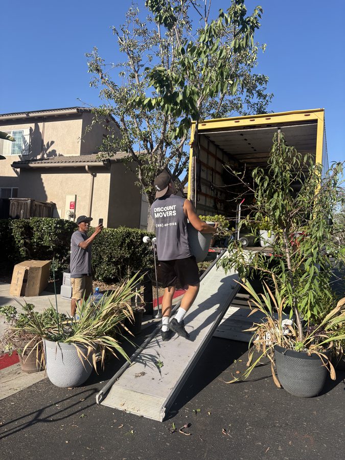 Discount Movers crew member carrying a potted tree up the truck ramp, with more potted trees and planters staged at the curb